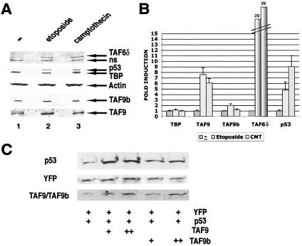 FIG. 6.