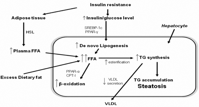 Figure 1: