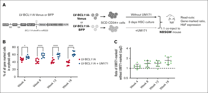 Figure 4.