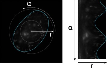 Fig. 3