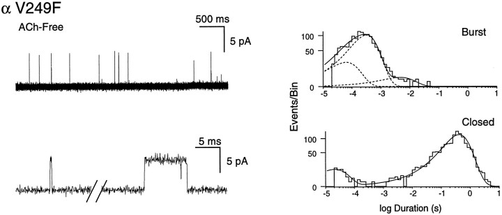 Fig. 10.