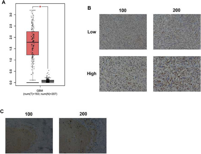 FIGURE 3