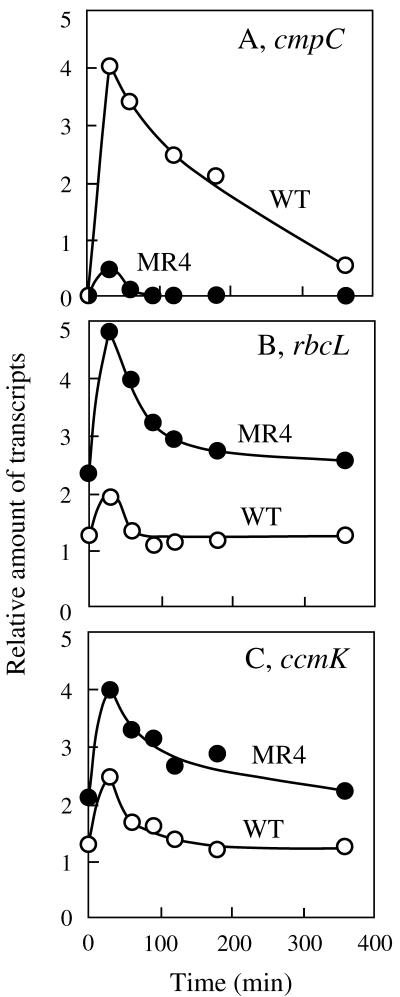 FIG. 7