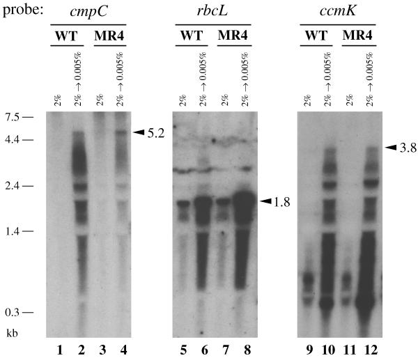 FIG. 6