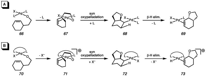 Scheme 5