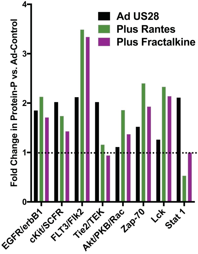 FIG 1