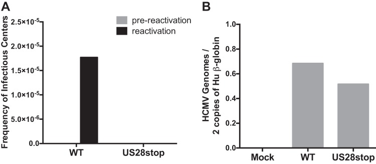 FIG 3