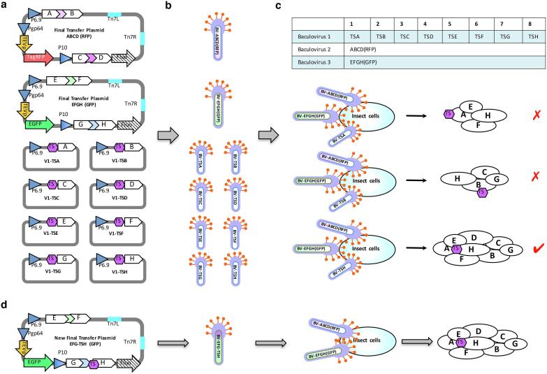 Fig. 3