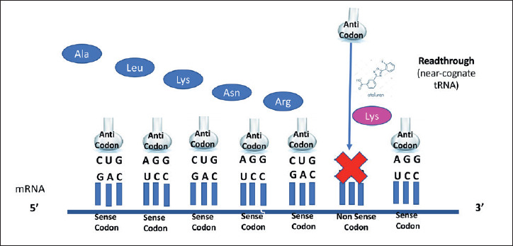 Figure 3.