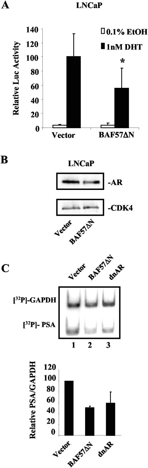 FIG.4.