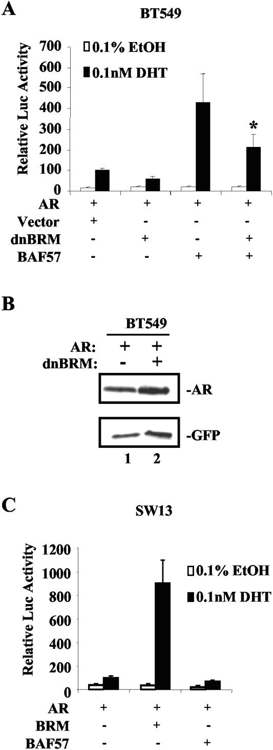 FIG.5.