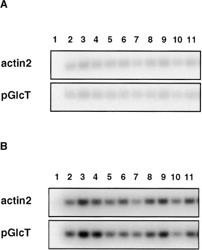 Figure 9.