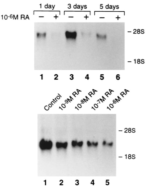 FIG. 5