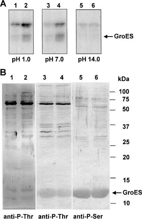 Figure 5.