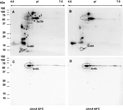 Figure 6.