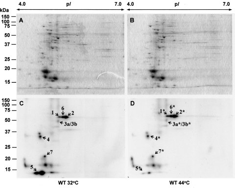 Figure 2.