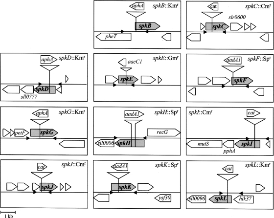 Figure 1.