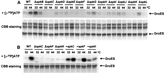 Figure 3.