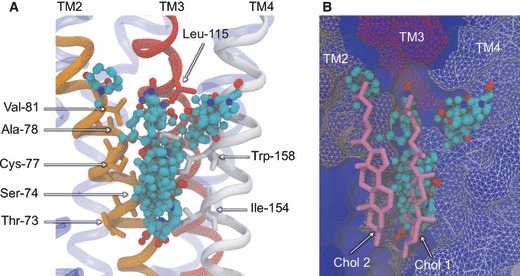 Figure 9