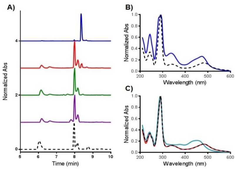 Fig. 1