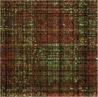 graphic file with name frai-04-687176-fx37.jpg
