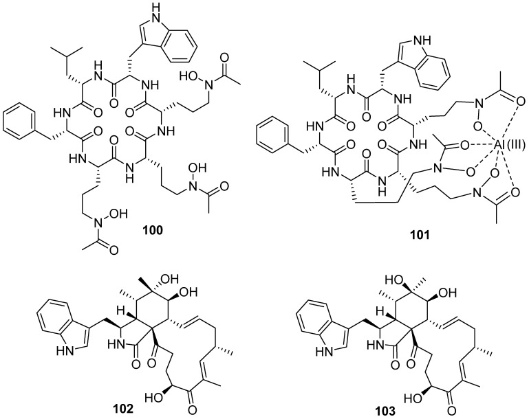 Figure 12