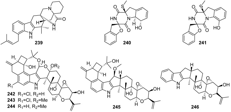 Figure 26