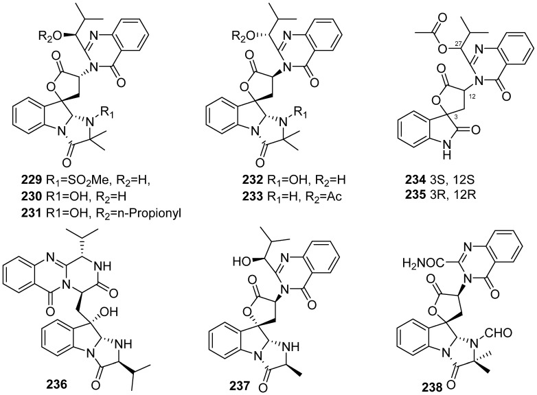 Figure 25