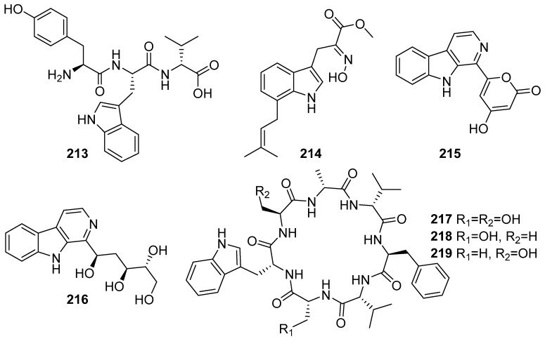 Figure 23