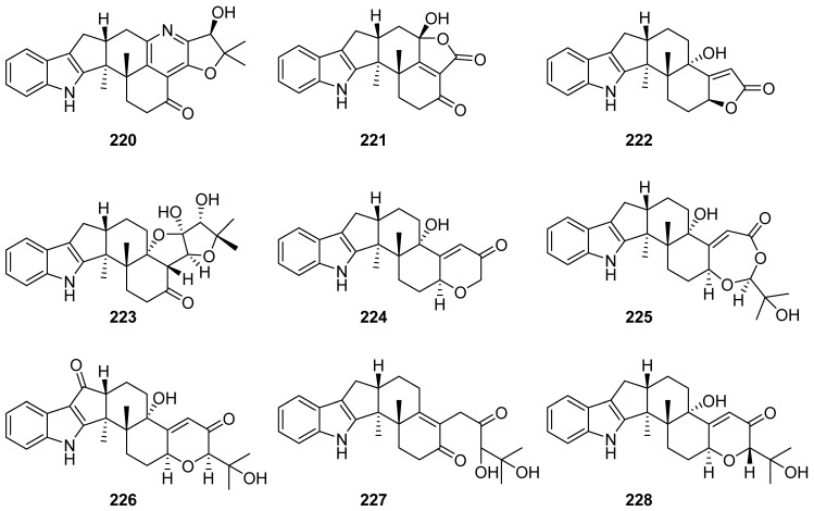 Figure 24