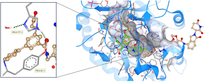 Fig. 3