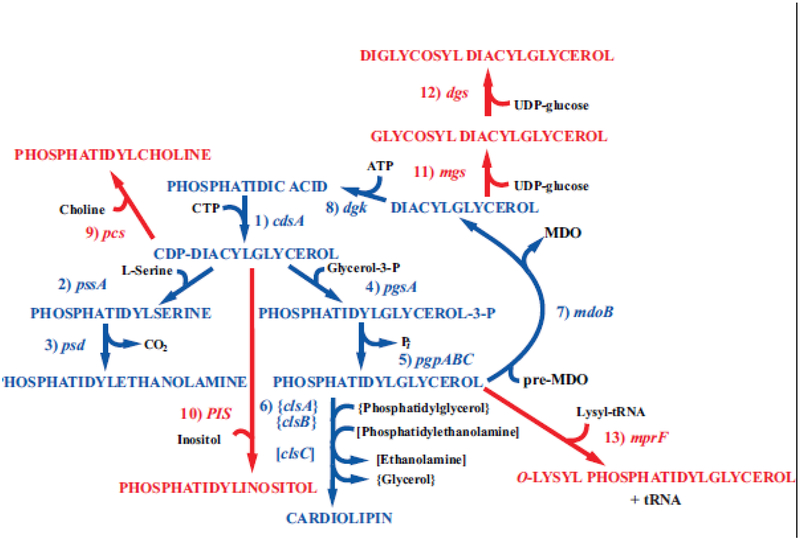 Figure 2.