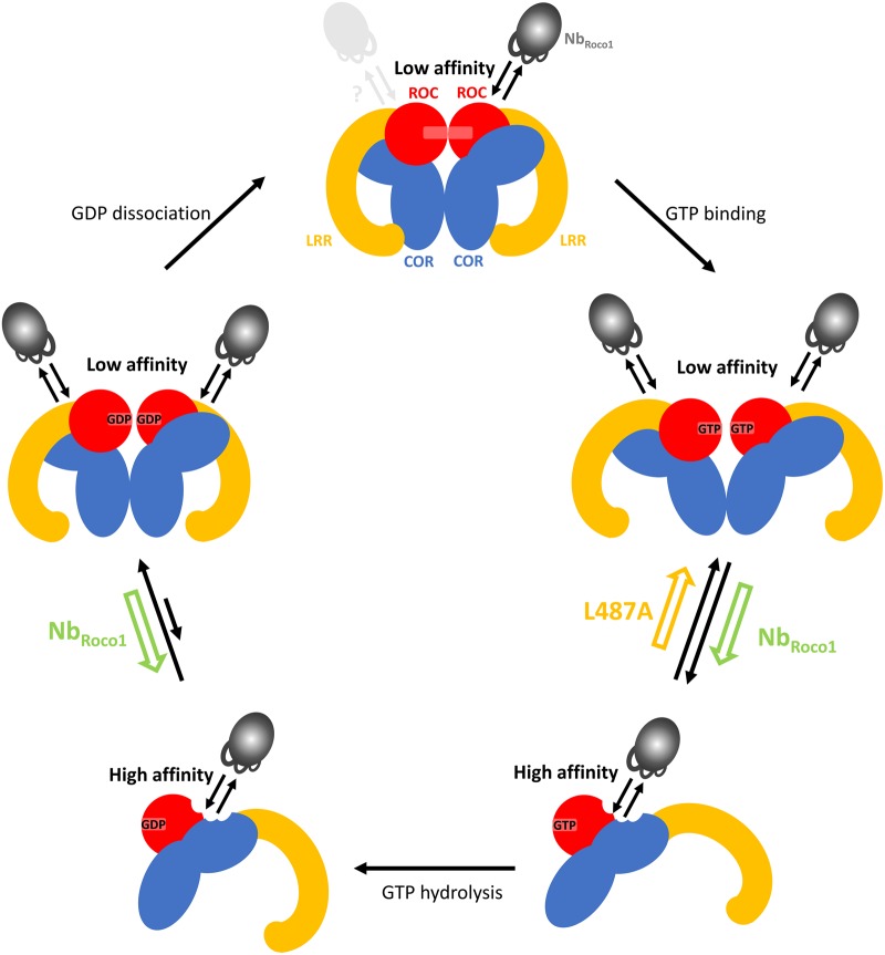 Figure 5.