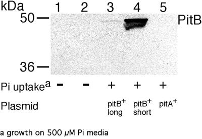 FIG. 1