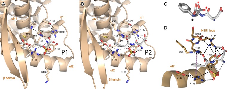 FIG 2