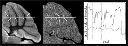 FIG. 7.