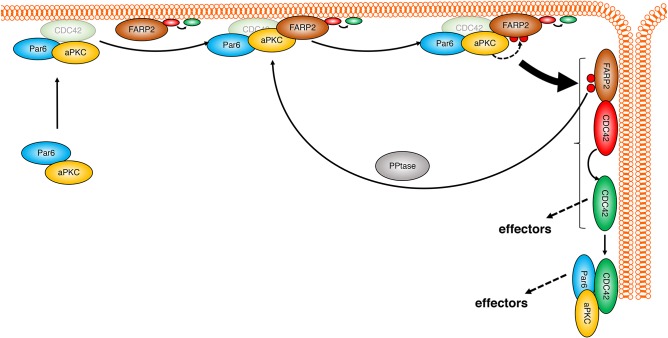 Fig. 4.