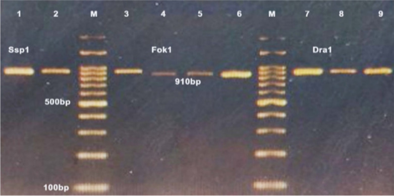 Fig. 2: