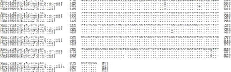 Fig. 4: