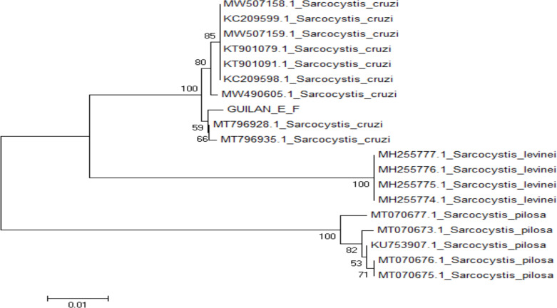 Fig. 6: