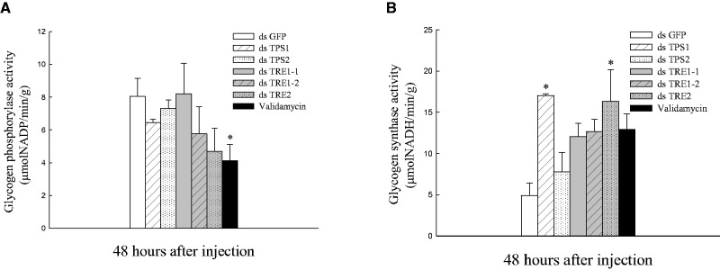 Fig. 7.