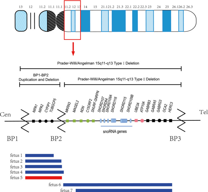 FIGURE 1