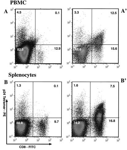 FIG. 6