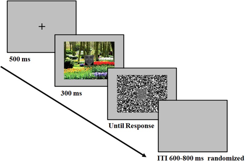 FIGURE 1