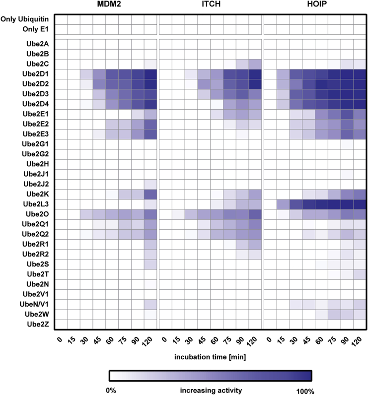 Figure 3