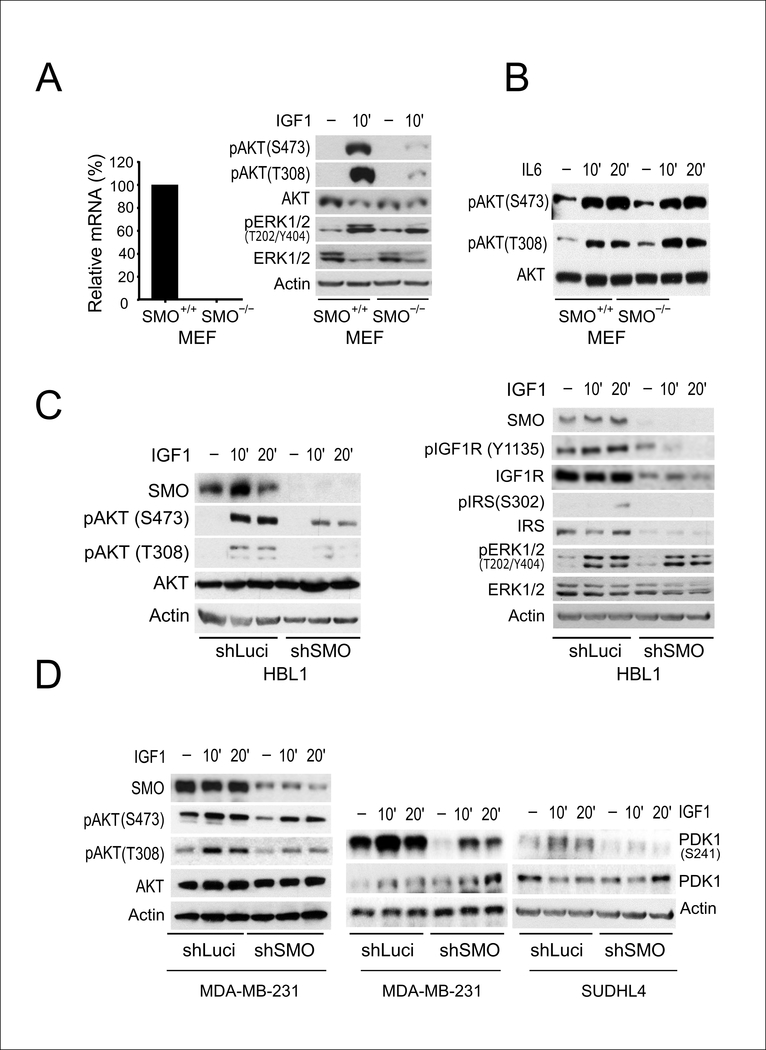 Figure 2: