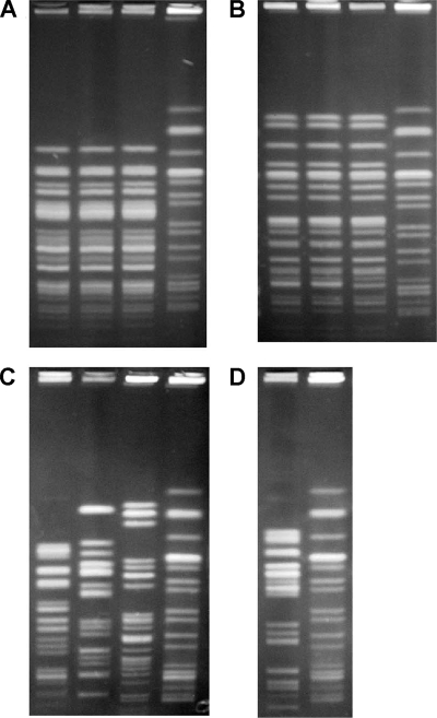 FIG. 5.