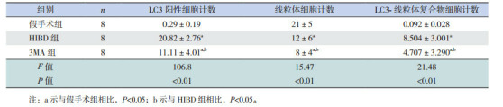 graphic file with name zgddekzz-19-2-242-T1.jpg