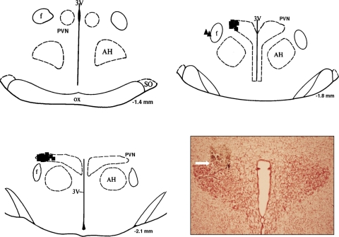 Fig. 1.