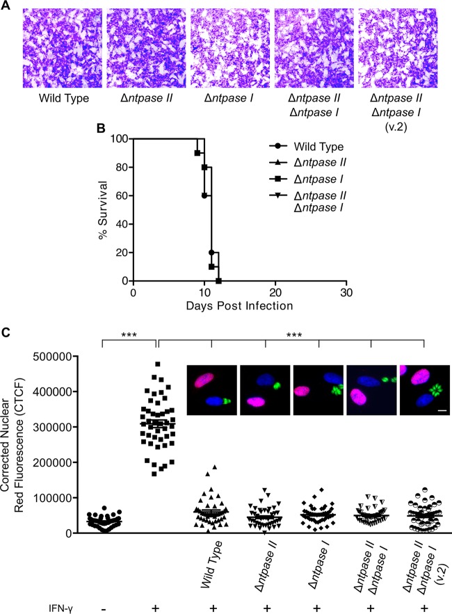 FIG 4